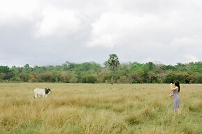 Costa Beach Resort & Club