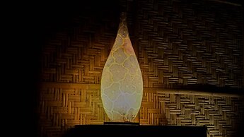 Costa Beach Resort & Club