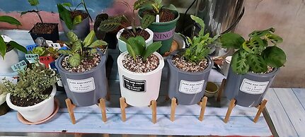 Nasun bed and breakfast