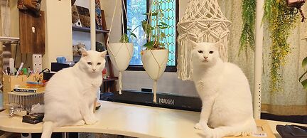 Nasun bed and breakfast