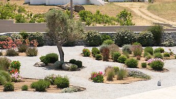 Olives & Rocks Naxian Villas