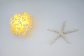 Olives & Rocks Naxian Villas