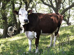 Queen Bower Farm Lodge