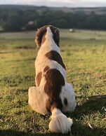 Queen Bower Farm Lodge