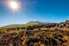 Latengaya Mount Batur Bungalow