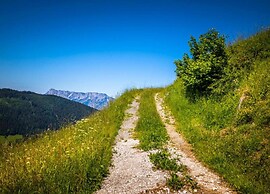 Spacious Chalet in Flachau With Sauna