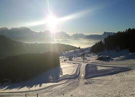 Spacious Chalet in Flachau With Sauna