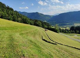 Spacious Chalet in Flachau With Sauna