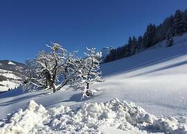 Spacious Holiday Home in Goldegg near Ski Area