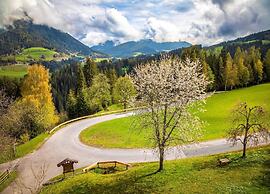 Spacious Holiday Home in Goldegg near Ski Area