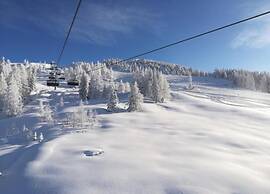 Spacious Holiday Home in Goldegg near Ski Area