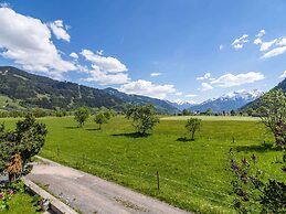 Contemporary Apartment in Maishofen near Ski Area