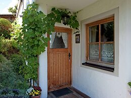 Animal -friendly Apartment in Leogang