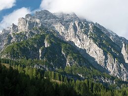 Animal -friendly Apartment in Leogang