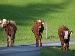 Animal -friendly Apartment in Leogang