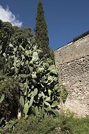 White Jasmine Cottage