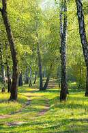 Guest house Kiev forest