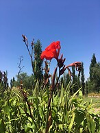 La Escondida San Rafael - Cabañas