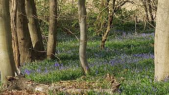 Inviting 2 Bedroom Barn Conversion, Rural Norfolk