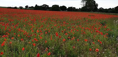 Inviting 2 Bedroom Barn Conversion, Rural Norfolk