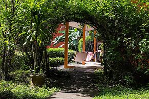 Jungle Lodge at Wild Sun Rescue