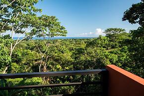 Jungle Lodge at Wild Sun Rescue