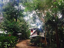 Jungle Lodge at Wild Sun Rescue