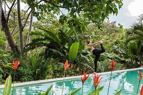 Jungle Lodge at Wild Sun Rescue