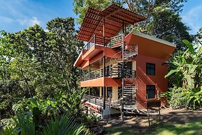 Jungle Lodge at Wild Sun Rescue