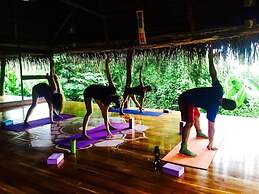 Jungle Lodge at Wild Sun Rescue