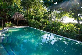 Jungle Lodge at Wild Sun Rescue