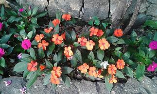 Pousada Santo Expedito