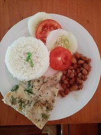 Amazon Journeys Lodge & Expedition