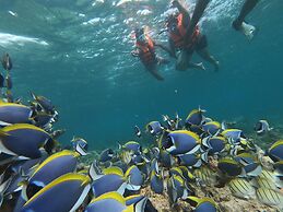 Athens View Guraidhoo