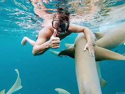 Athens View Guraidhoo