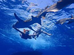 Athens View Guraidhoo