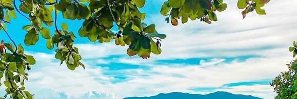 Barabara Budget Satun