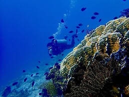 Alegria Dive Resort