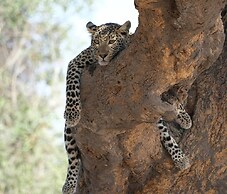 Sunbirds Chobe Hotel