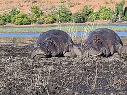 Sunbirds Chobe Hotel