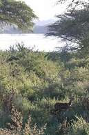 Sunbirds Lodge Chobe