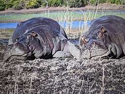 Sunbirds Chobe Hotel