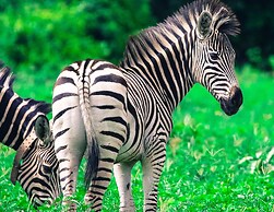 Sunbirds Chobe Hotel