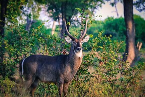 Sunbirds Chobe Hotel
