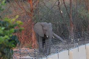 Sunbirds Lodge Chobe