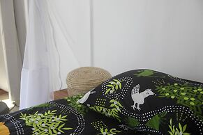 Liquid Dive Adventures