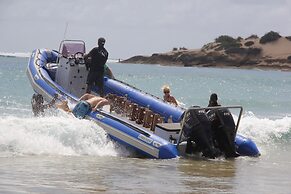 Liquid Dive Adventures