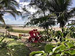 Liquid Dive Adventures