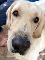 Liquid Dive Adventures