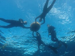 Liquid Dive Adventures